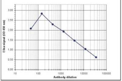 ELISA: Histone H3 [Dimethyl Lys79] Antibody [NBP2-59151] - To determine the titer, an ELISA was performed using a serial dilution of the antibody directed against H3K79me2 . The antigen used was a peptide containing the histone modification of interest. By plotting the absorbance against the antibody dilution, the titer of the antibody was estimated to be 1:4,500.